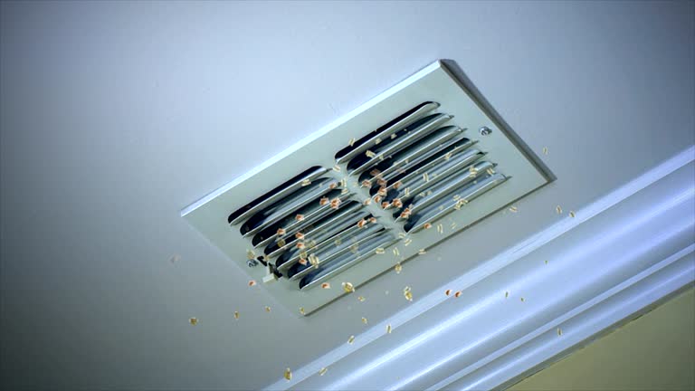 Professional Airduct Cleaning in Danville, CA